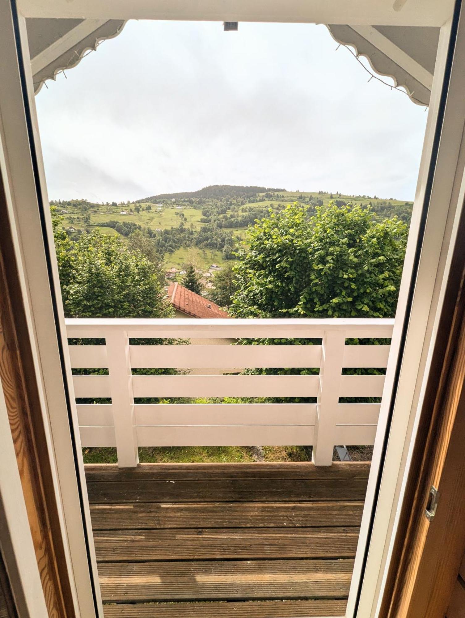 Chalet Sauna Jacuzzi 6 Personnes La Bresse Exterior photo